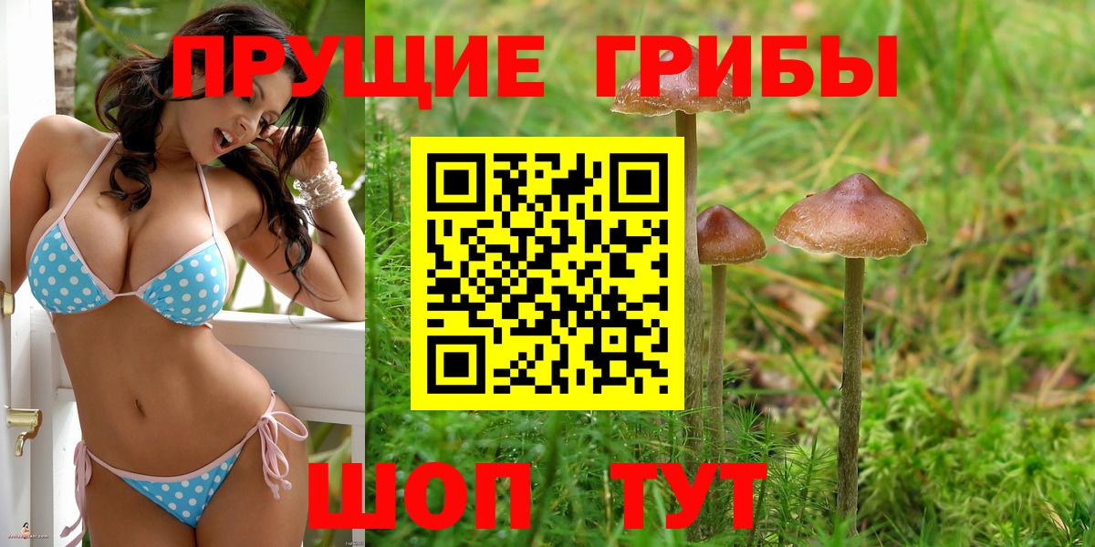 Псилоцибиновые грибы GOLDEN TEACHER Каменск-Шахтинский