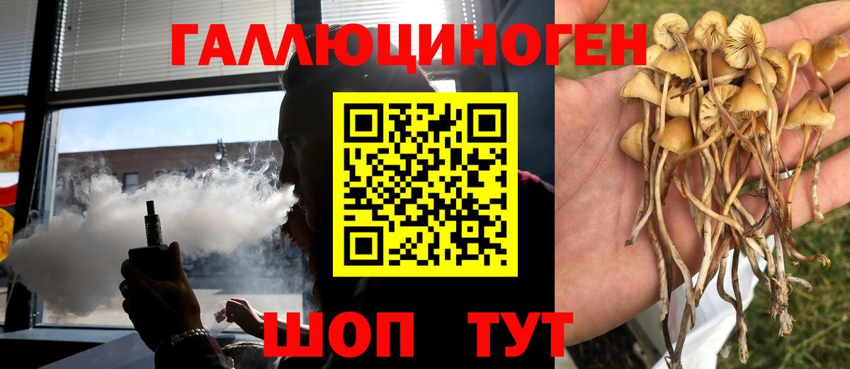 Каменск-Шахтинский  Галлюциногенные грибы прущие грибы  Вход с VPN 